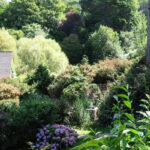 Watermouth Cove Cottages