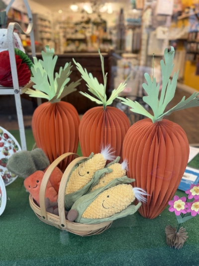 Daisy Park | South Molton | North Devon welcomes | Need it find it | North Devon